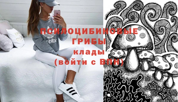 прущий лед Краснослободск