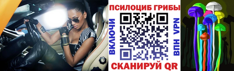 Псилоцибиновые грибы Psilocybe  Купить  Зеленоградск 
